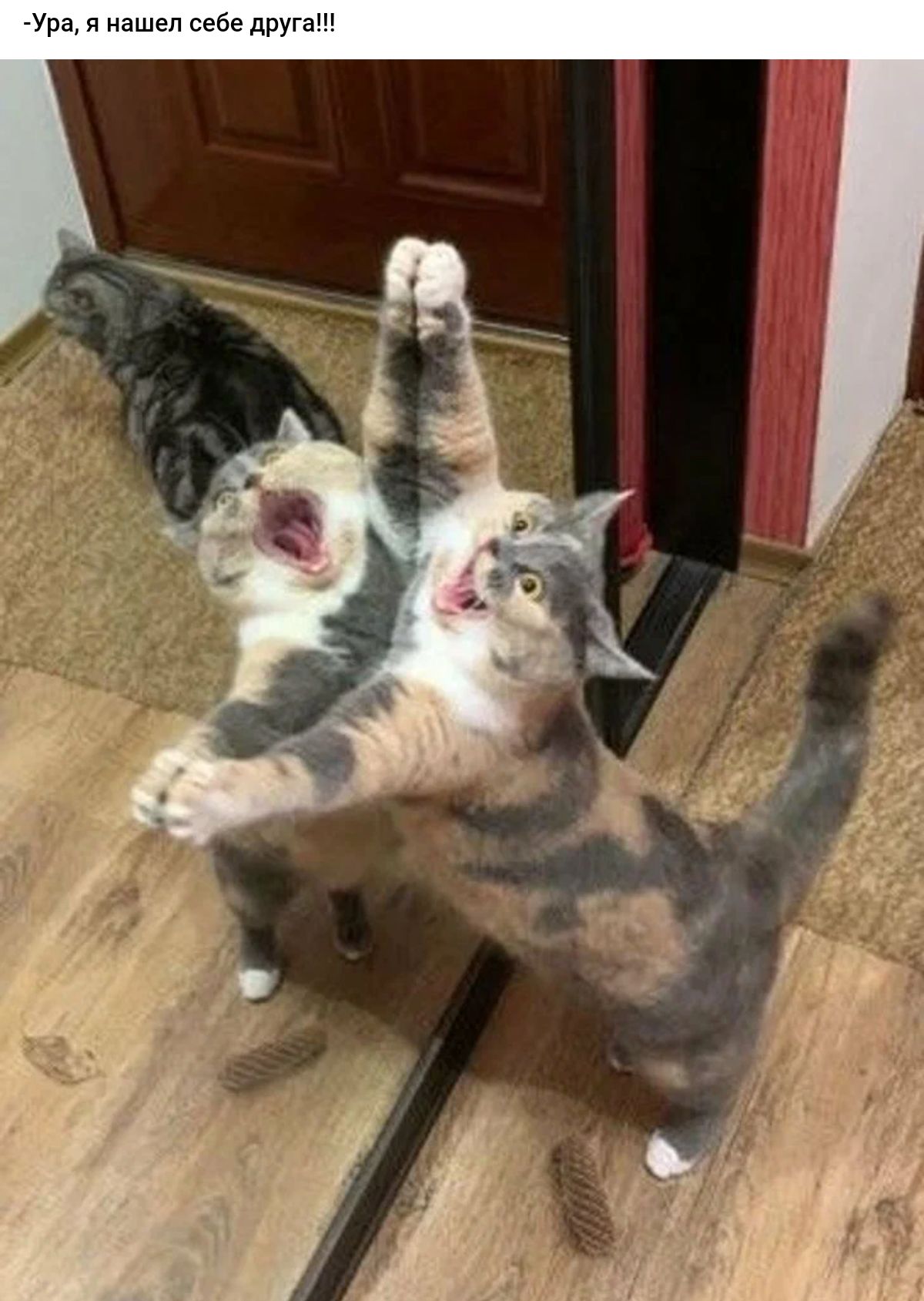 Уд и на не друг