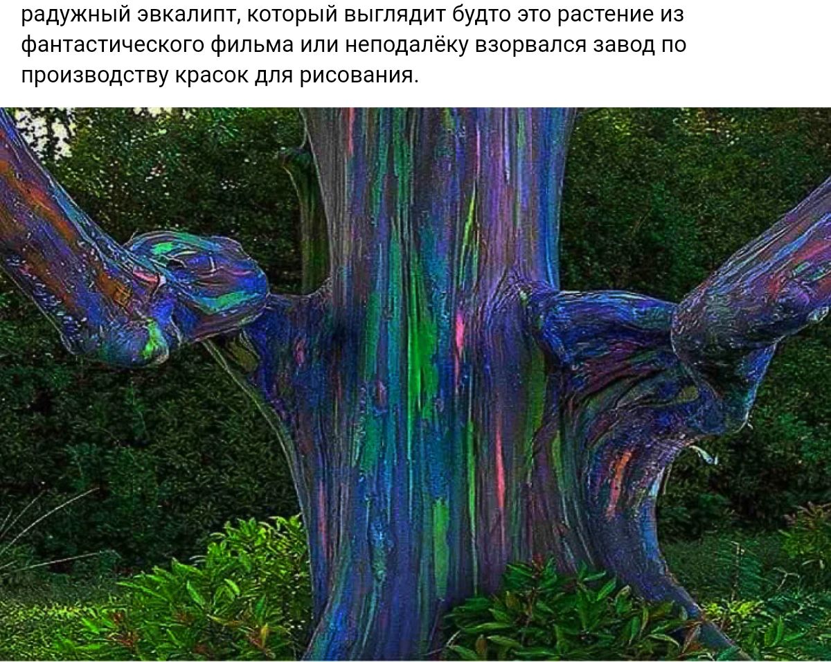 підужиыйэгиапиппиг в тппитбщтинтимный темным ушичым непыдалгиу вшрвалсп тдпчпиг вания