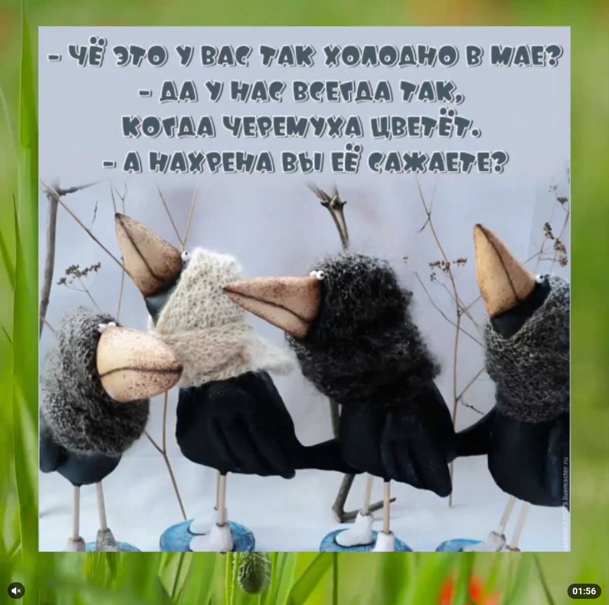 ЧЁ 370 ВАС ГАК УОЛОАИО В МАЕ АА А ВСЕГДА ГАК КОГАА ЧЕРЕМУУА ЦВЕУЁГ А НАУРЕНА Вы ЕЕ САЖАЕУЕ