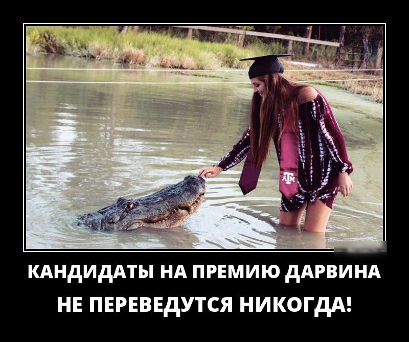 КАНДИДАТЫ НА ПРЕМИЮ дАРВИ НА НЕ ПЕРЕВЕДУТСЯ НИКОГДА
