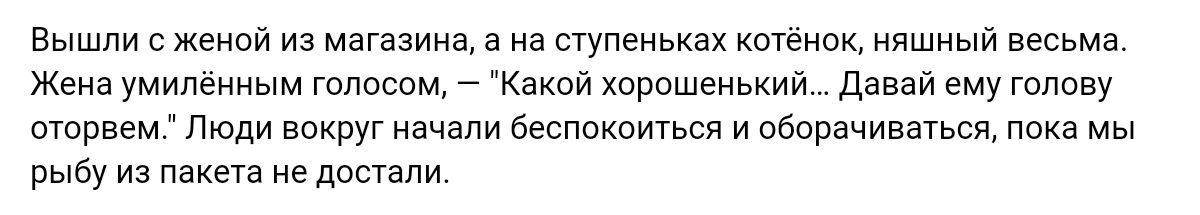 Вышли с женой из магазина в на ступеньках котенок няшный весьма ж умилеииым тпщ Какой хорошенький ди ему голову отпввем люди вокруг начали беспокоиться оборачиваться пока мы рыьу из пакега не попали
