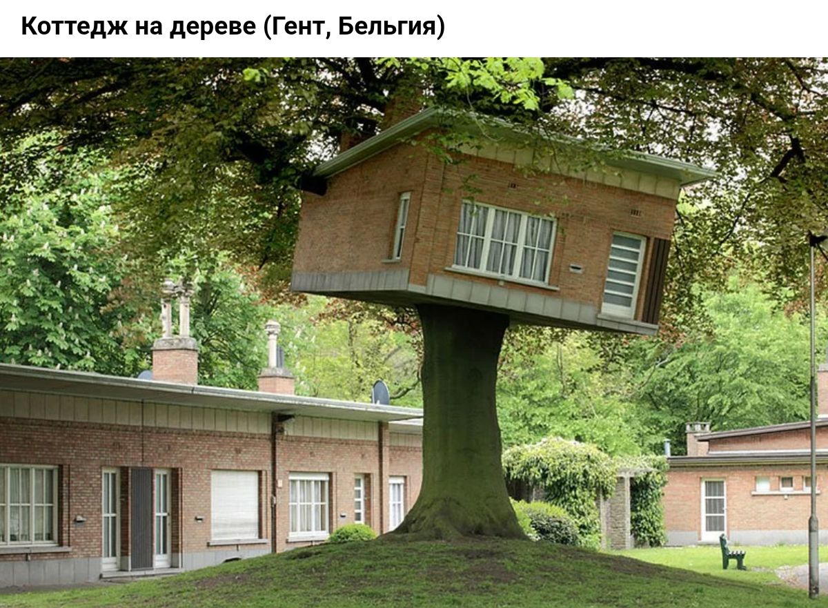 Коттедж на дереве Гент Бельгия