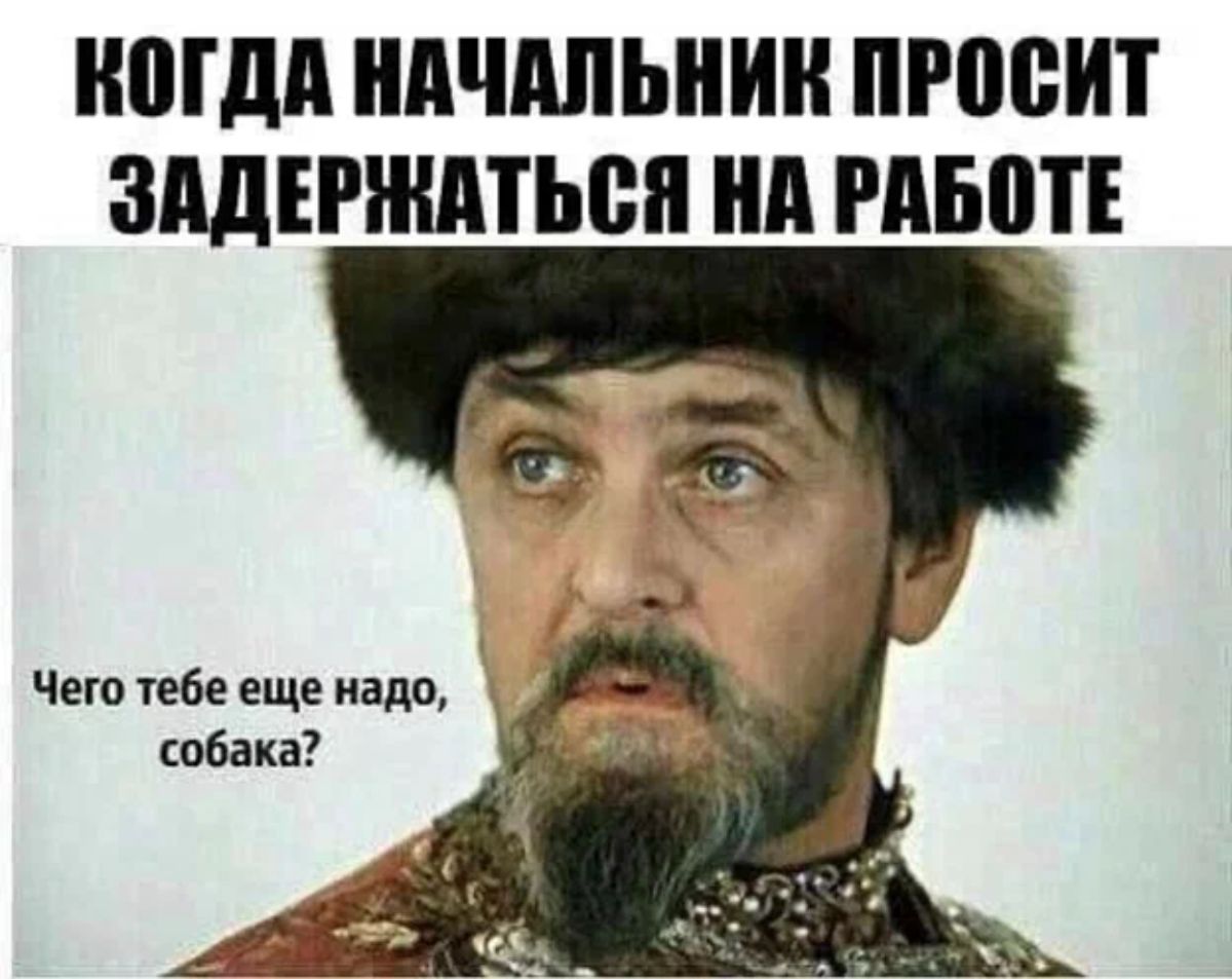 А того чего надо нам нет. Чего тебе еще надо собака. Хороняка. Борода Ивана Грозного. Надо.