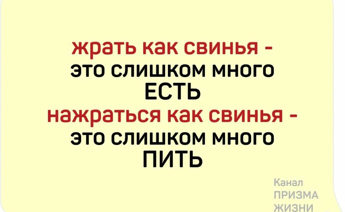жрать как свинья это слишком много ЕСТЬ нажраться как свинья это слишком много ПИТЬ