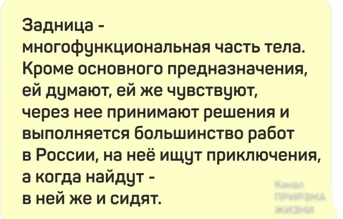 Задница многофункционапьная часть тела КРОМЕ ОСНОВНОГО предназначения ей думают ей же чувствуют через нее принимают решения И ВЫПОЛНЯеТСЯ БОПЬШИНСТВО работ в России на неё ищцт приключения 3 когда найдут в ней же и сидят