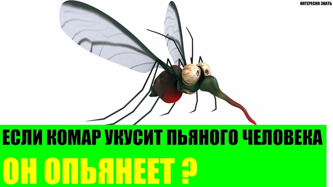 ЕС ШШШ ПЬШШШ ЧШМЕЩ