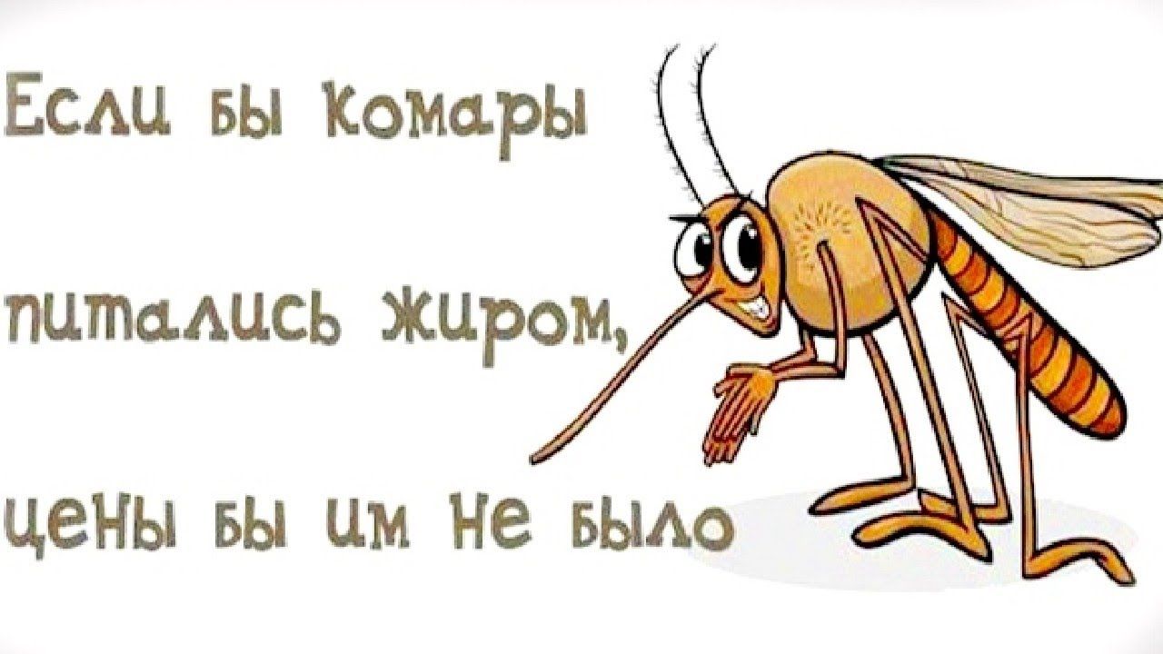 Если вы Комары питмцсь Жиром цены БЫ Цм НВ БЫАО