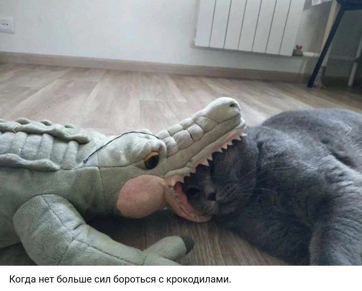 кагда иг т мы п г ирпулдипзмн