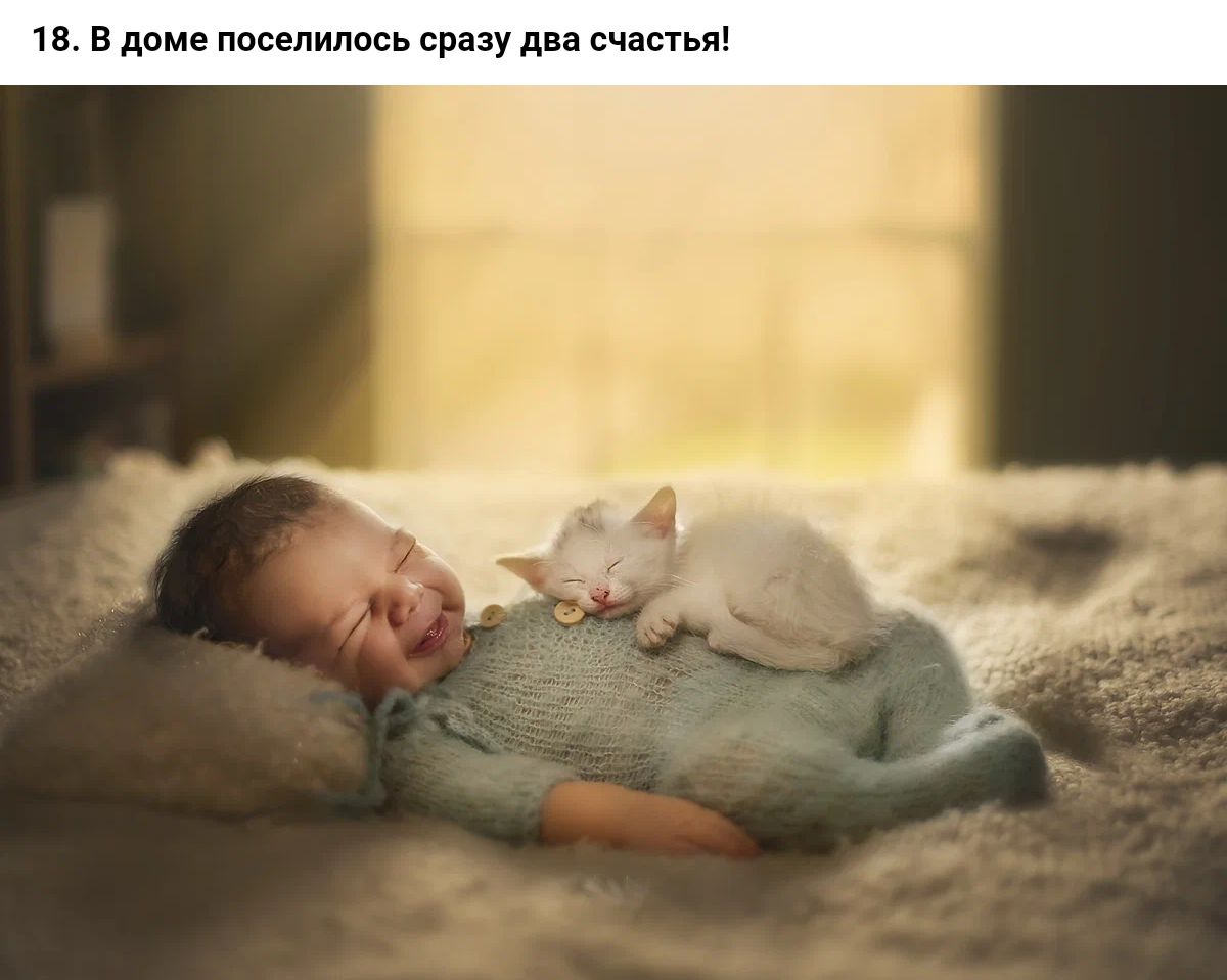 18 в доме поселилась сщзу ди счастья