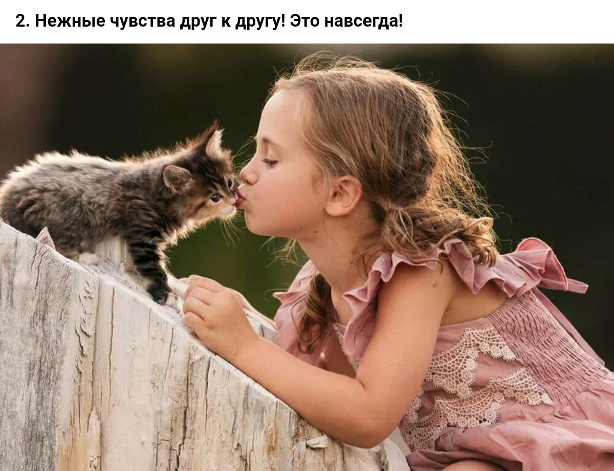 Игриво ласково. Кошка девочка. Девочка с котом. Девочка с котятами. Для детей. Животные.
