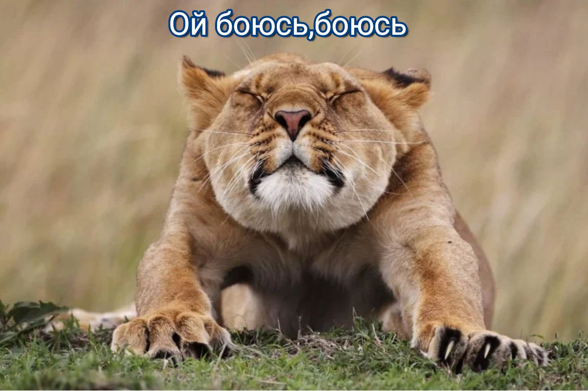 ФЕ ъ