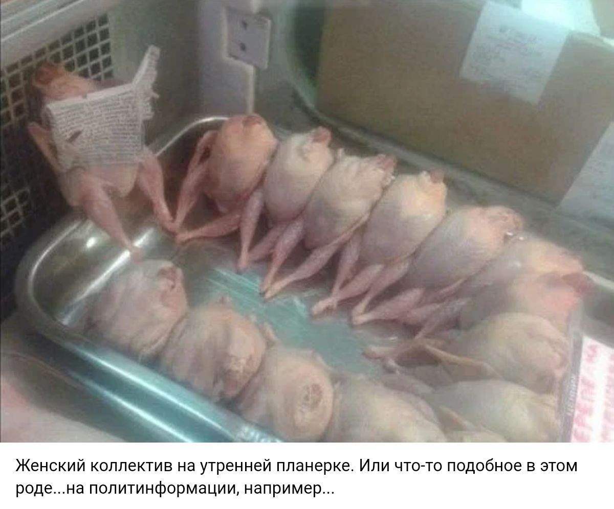 жм коннекте на теми ппанерке атм раде а Политинформациидізприи р