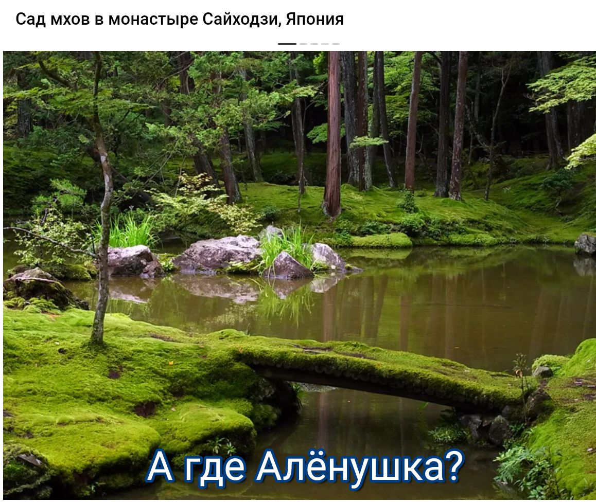 Сад мхов мпипстыпе Саиходзи Японии А где Алёнушка