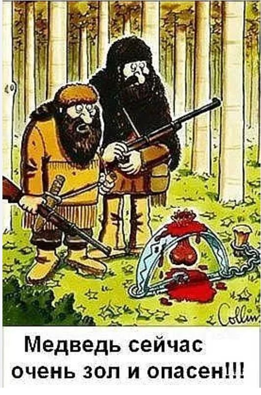 йчас Медведьсе очень зол и опасен