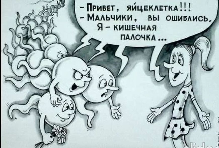 Пгивн яйцвкдвтм ммьчики вы ошимись Я кишвчмя