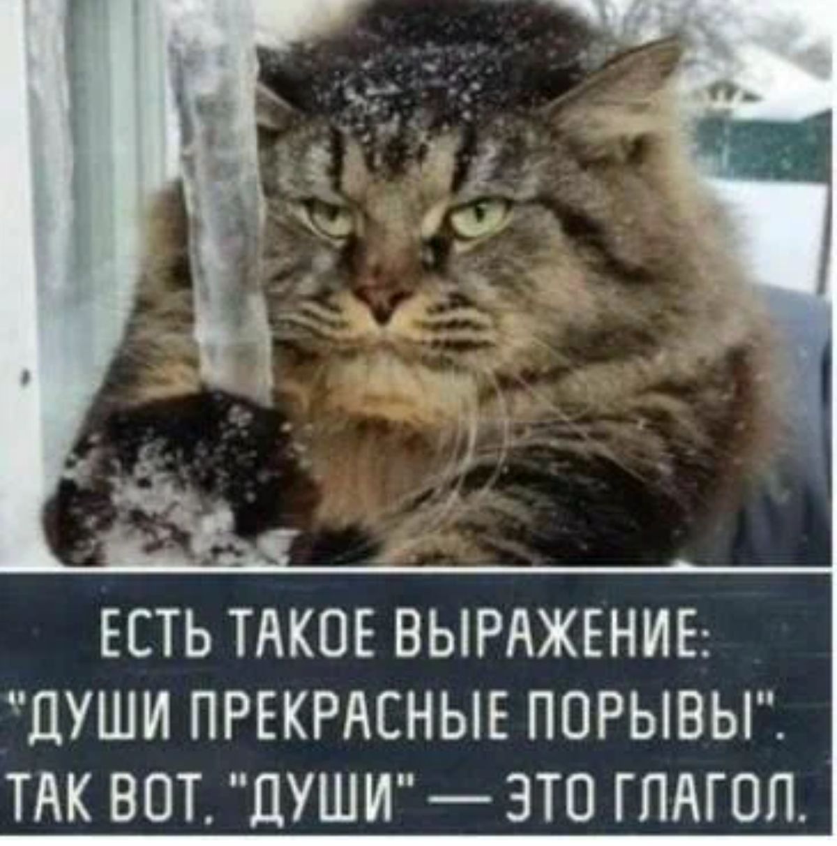ЕСТЬ ТАКОЕ ВЫРАЖЕНИЕ ЦУШИ ПРЕКРАСНЫЕ ПОРЫВЫ ТАК ВОТ ДУШИ ЭТО ГЛАГОЛ