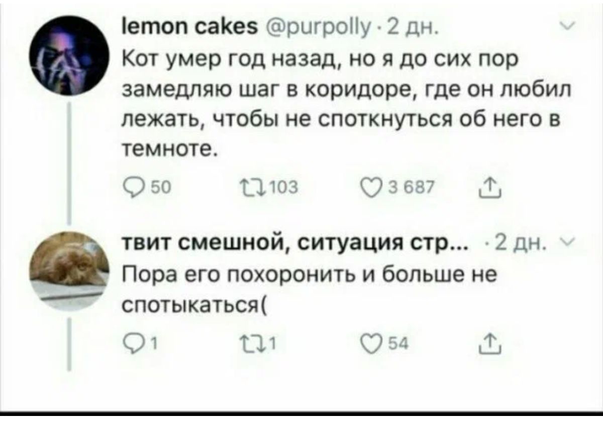 штоп саКеэ ёршроНу 2 дн Ка умер год назад но дп сих пор замедляю шаг в коридоре где он любил лежать чтобы не спсткнугься об него в темноте ога шт 7 1 пит смешной ситуация стр 2 дн Ппра его похоронить и больше не спогыкагьсщ О ГЫ
