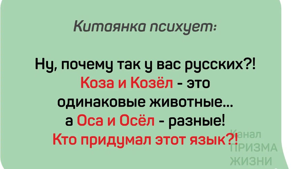 КШПОЯНКО ПСЦХуЕГП Ну почему так у вас русских Коза и Козёп это одинаковые животные а Оса и Осёл разные Кто придумал этот язык