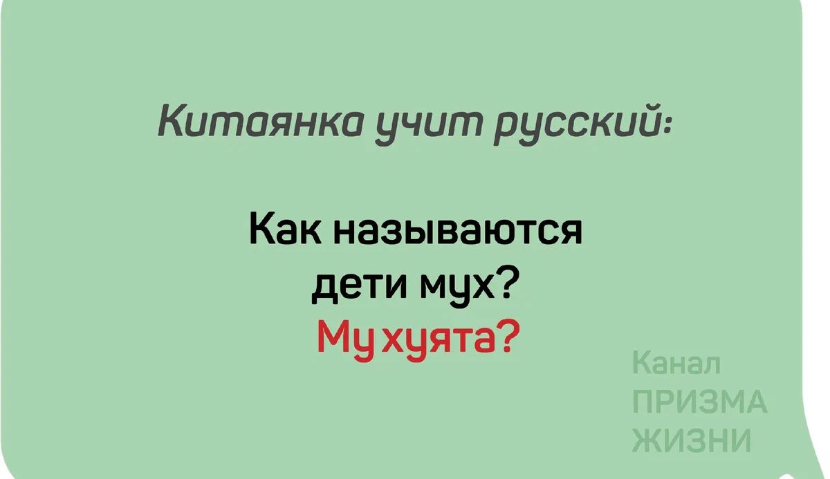 Китаянка учит русский Как называются дети мух Мухчята