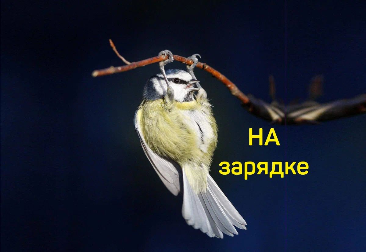 4 НА зарядке