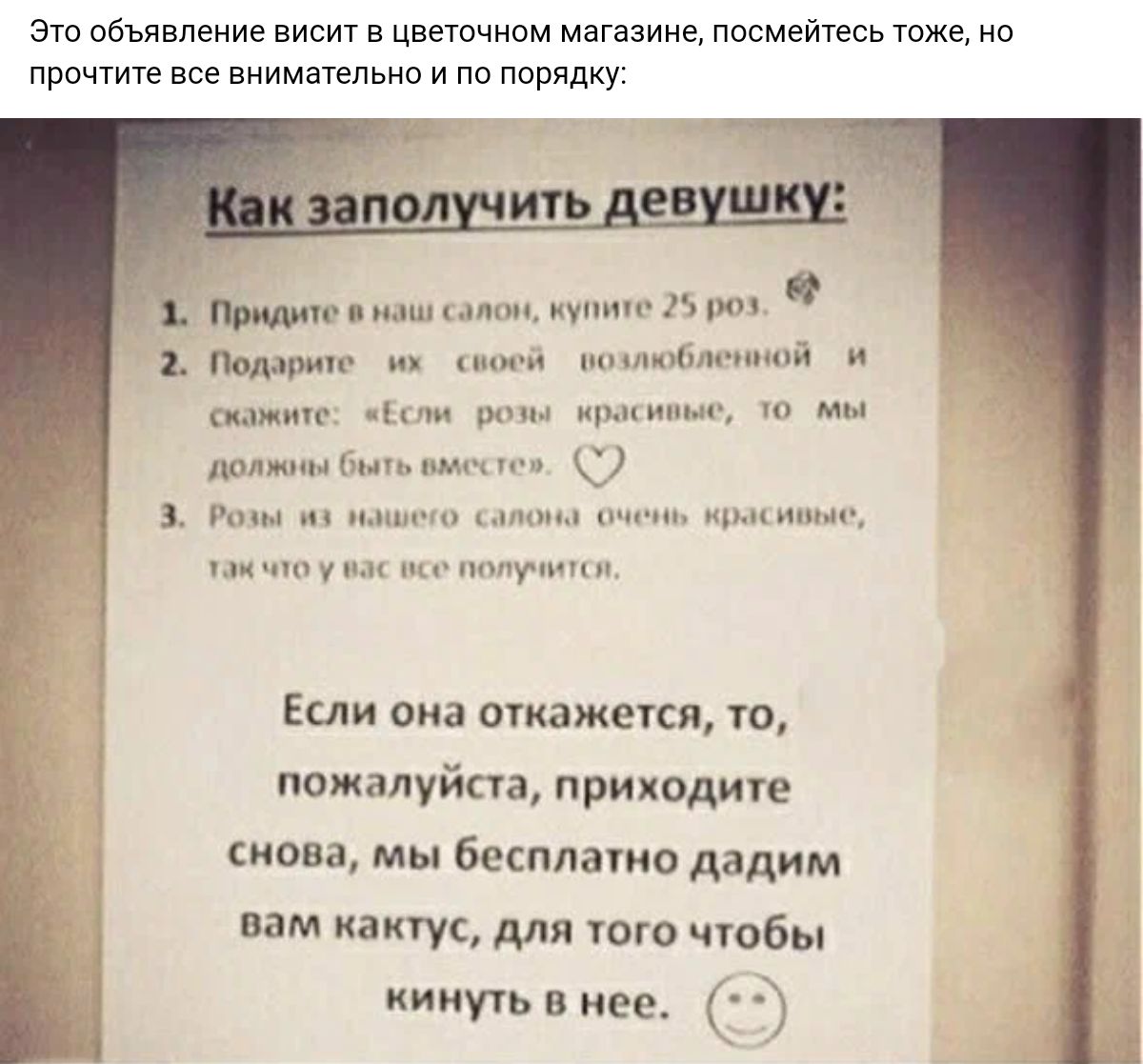 эт пбъпвпеиие вит в ц егочнвм магазине посмейтесь тоже из прочтите все внимательно и ни ппвядку Еилшымм м ми п т я и и Чим мр т ы К щ имиишн Если она оуиажечся ю пожалуйста прилодиче снова мы бл плато дадим вам кактус для юго чтобы минут в нее