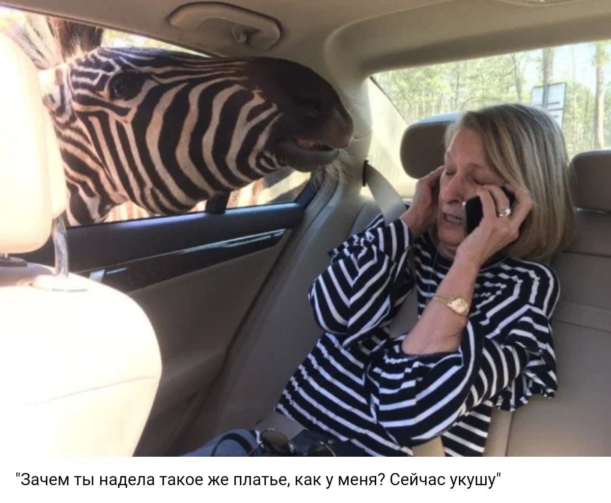 м ты надета та
