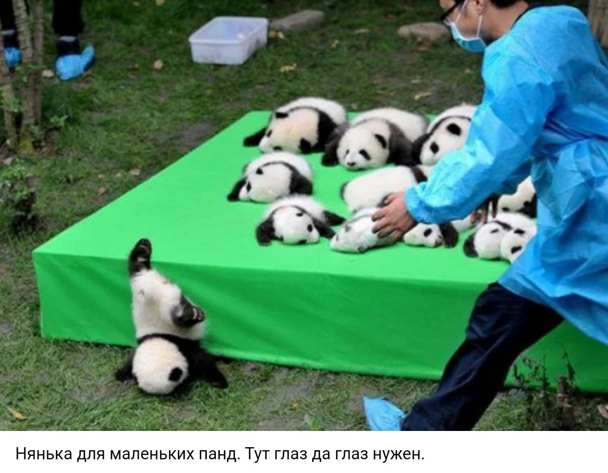 для тапвньи