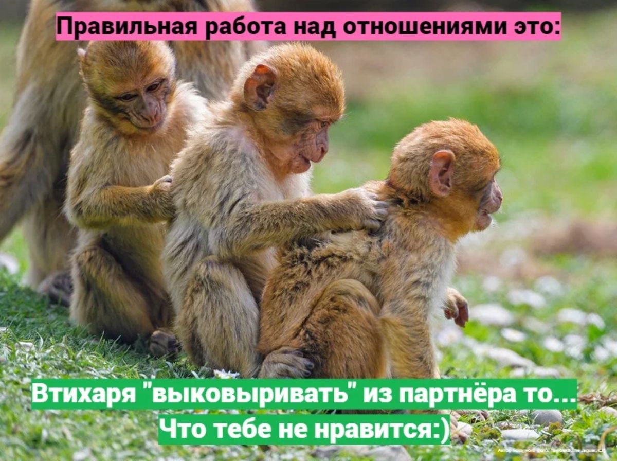 авипьияя абота над ТИ0ШЕИИЯМИ ФТЙЁ