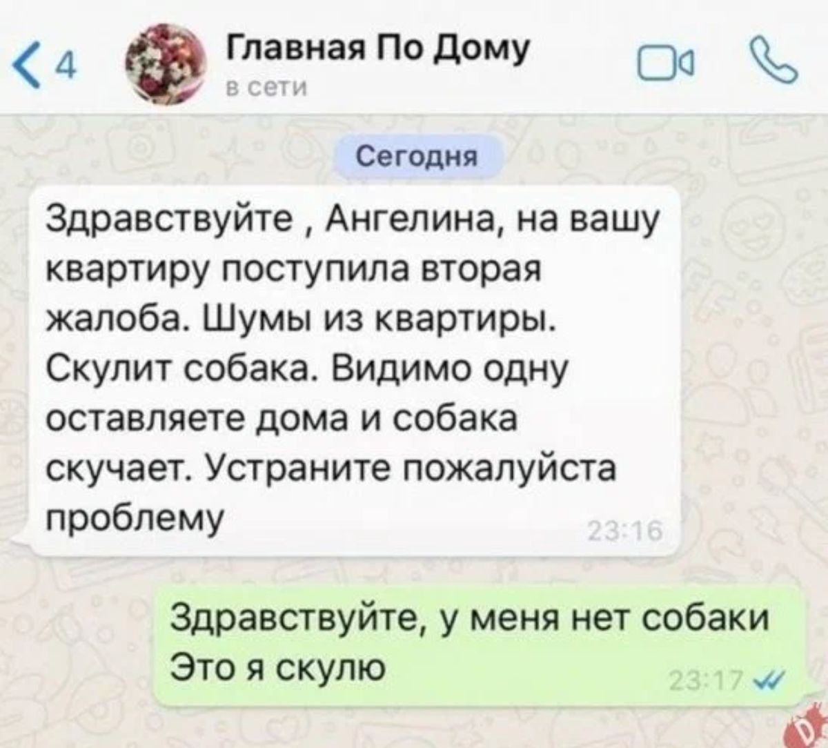 д Глааиая По дому ОО Сегодня Здравствуйте Ангелина на вашу квартиру поступила вторая жалоба Шумы из квартиры Скулит собака Видимо одну оставляете дома и собака скучает Устраните пожалуйста проблему Здравствуйте у меня нет собаки это я скулю у