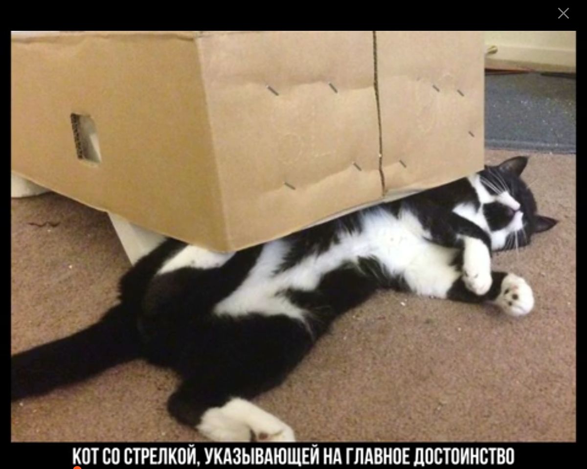 КШ Ш СТИШКИ ШЗНЩЮЩЕЙ И ниш ППППИИСПП