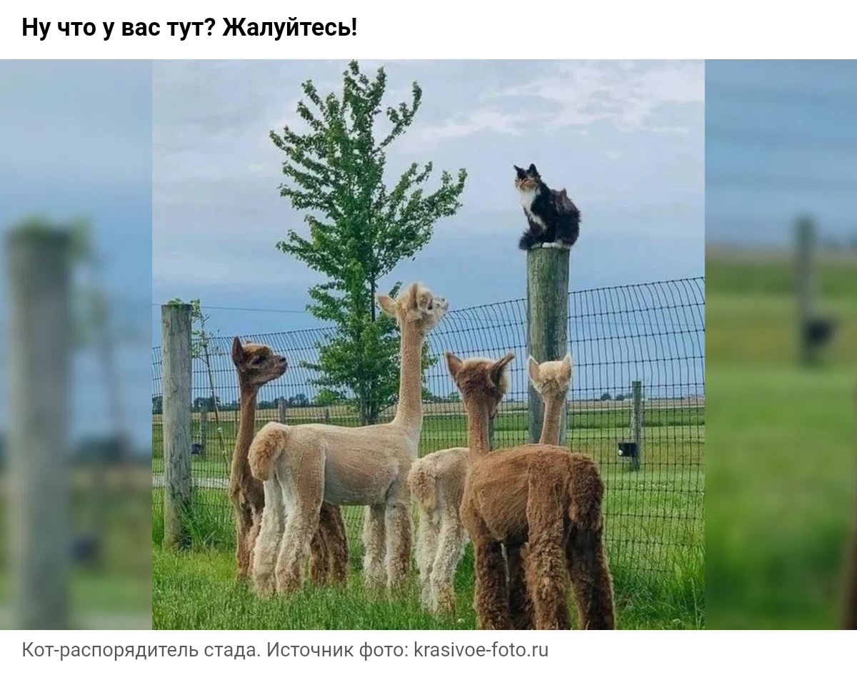 ну чтп у нас тут жмутсы