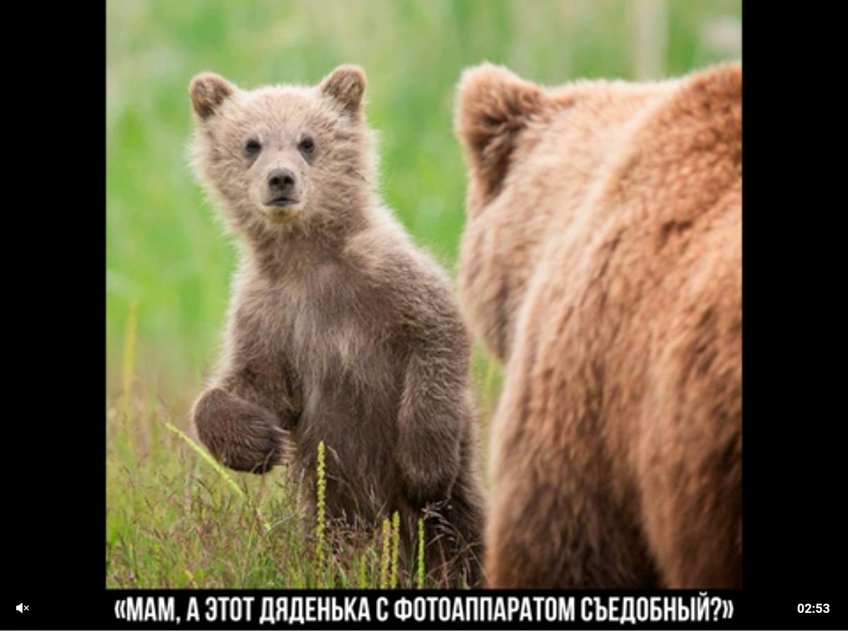 ши АЗШТ ШЛЕИЬКАЕФШПМПМАМ сщпниыът