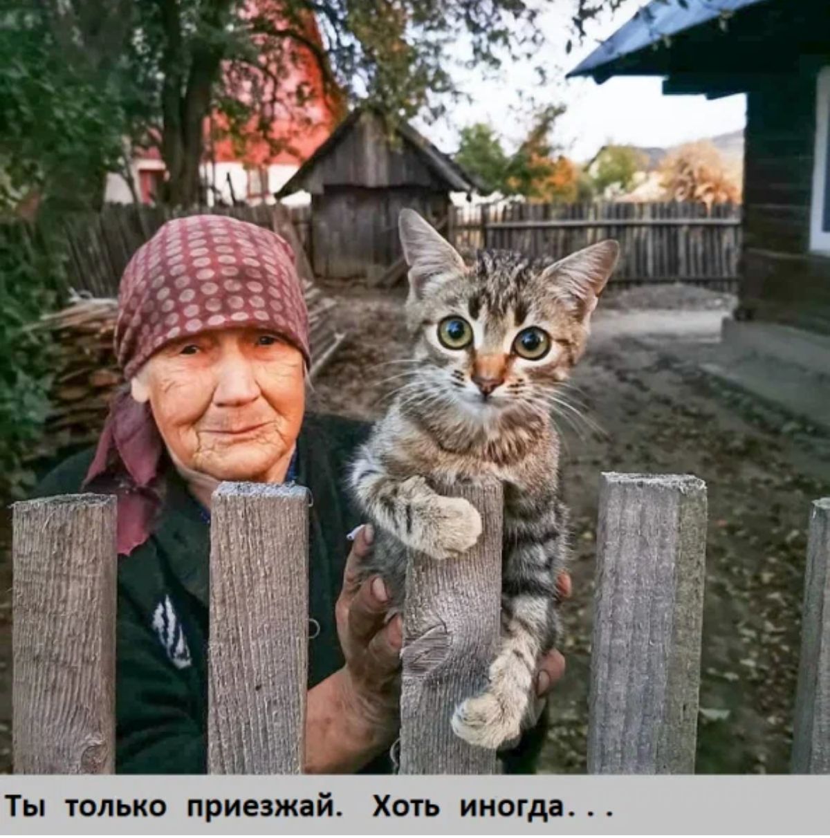 Ты только приезжай Хоть иногда