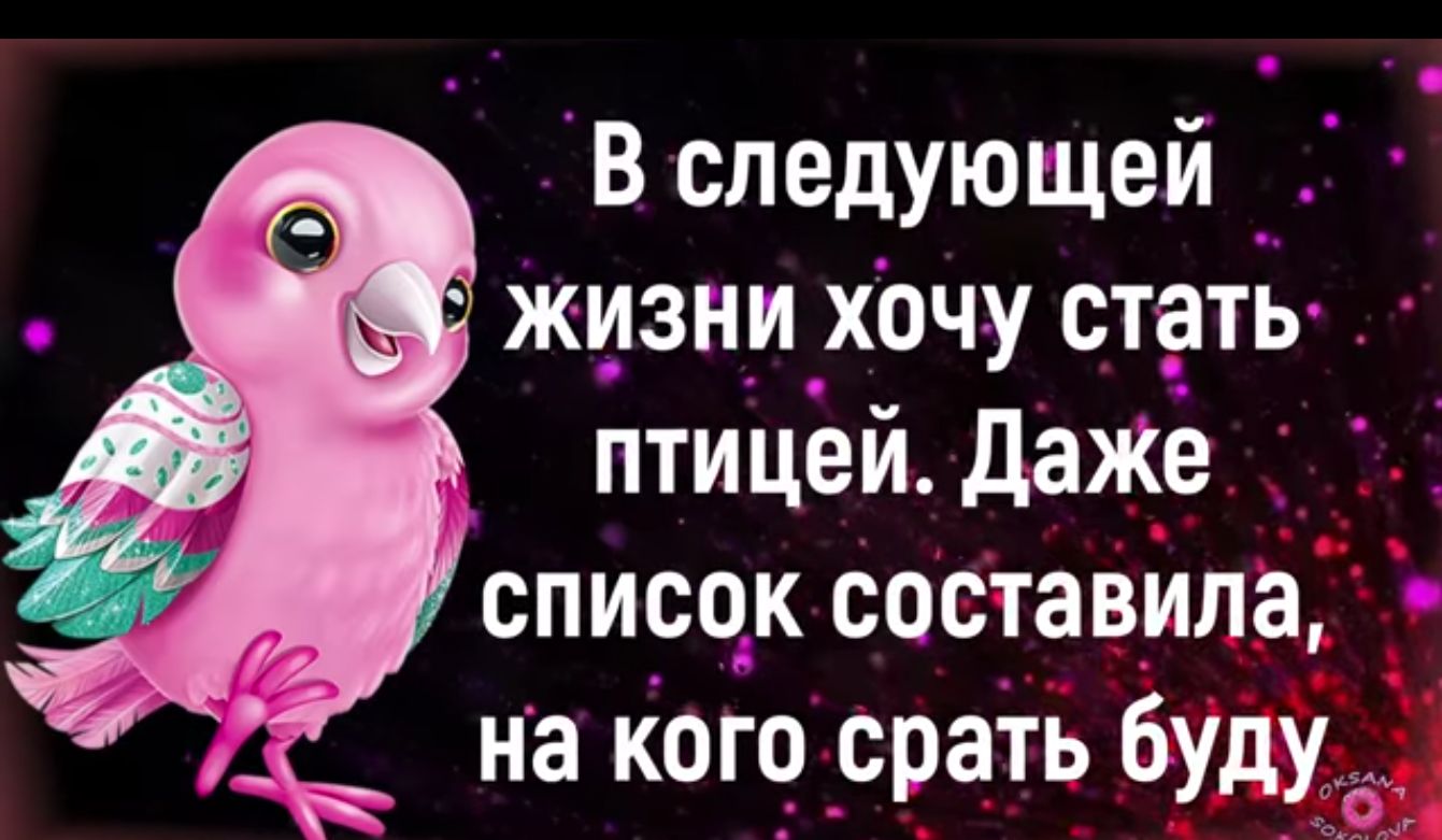 В следующей жизни хочу стать птицей Даже список составила на кого срать буду 5
