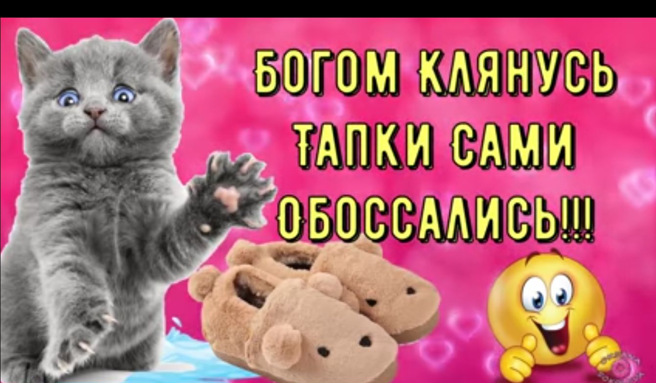 _ Ш 8 іьід