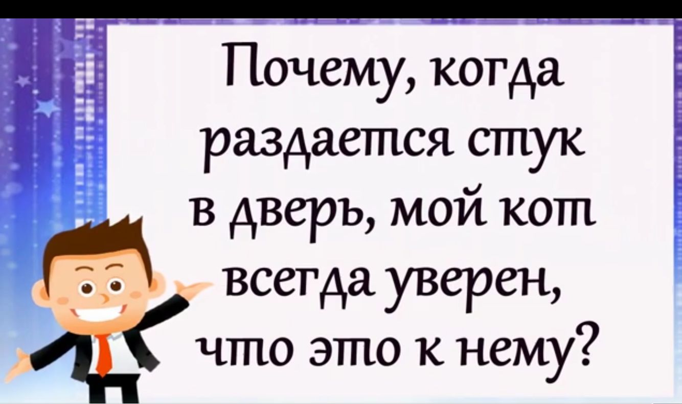 Почему когда раздается стук в дверь мой кот А А всегда уверен ИПК что это к нему