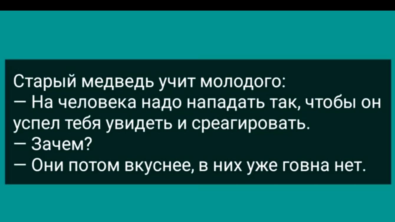 Старый медведь учит молодого На человека надо нападать такчтобы он успел тебя увидеть и среагировать Зачем Они потом вкуснее в них уже говна нет