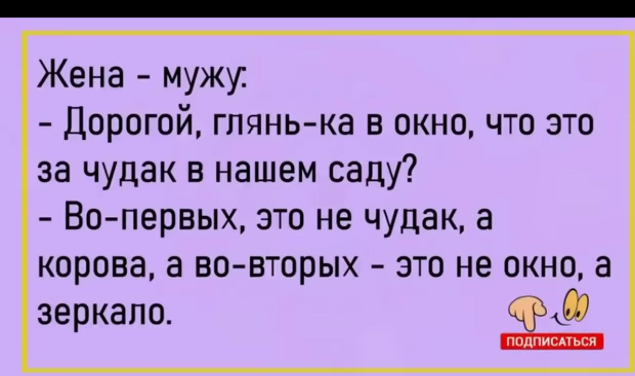 Жена мужи Дорогой глянька окно что это за чудак в нашем саду Вопервых это не чудак а корова а во вторых это не окно а зеркало