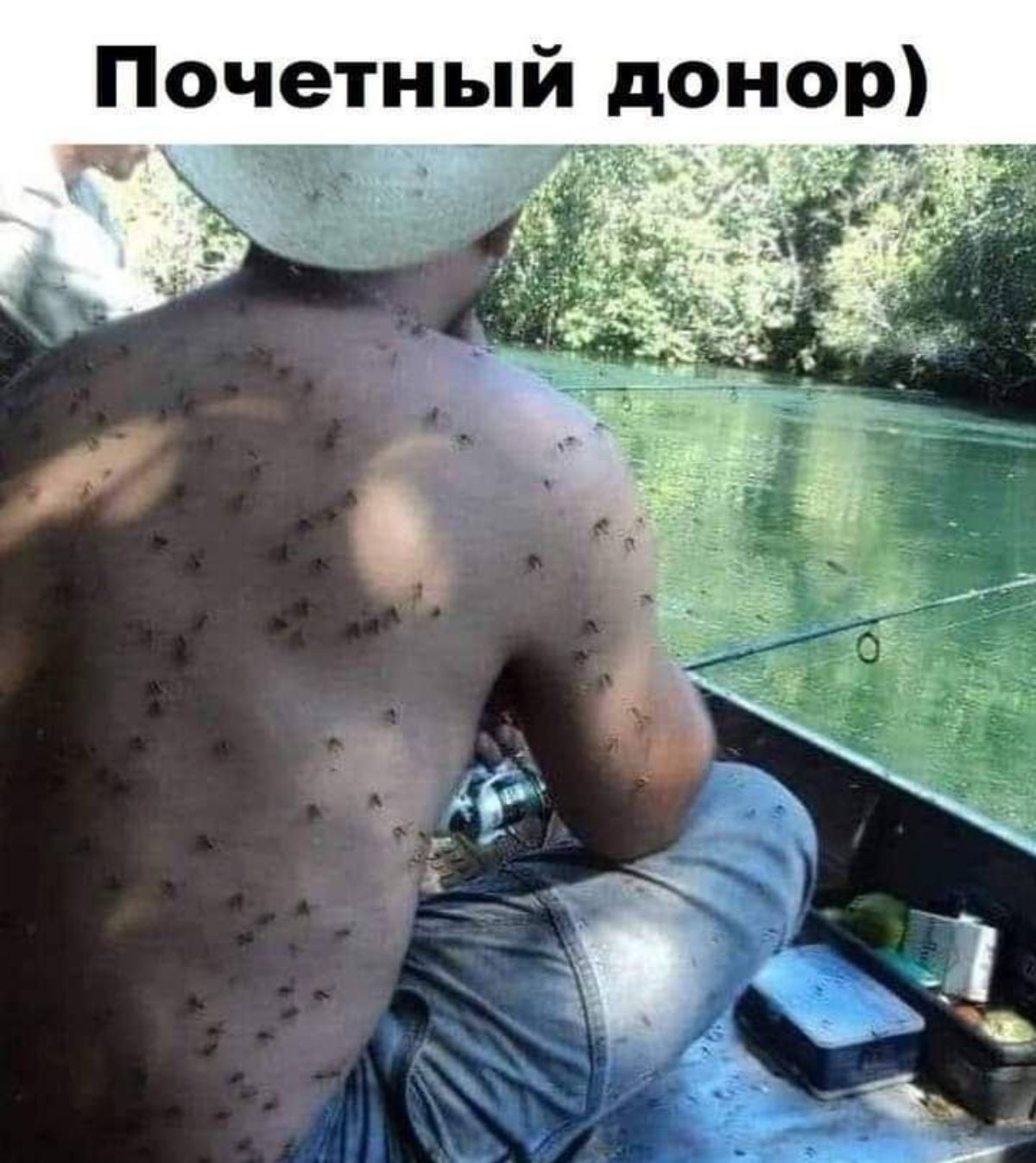 Почетный донор А