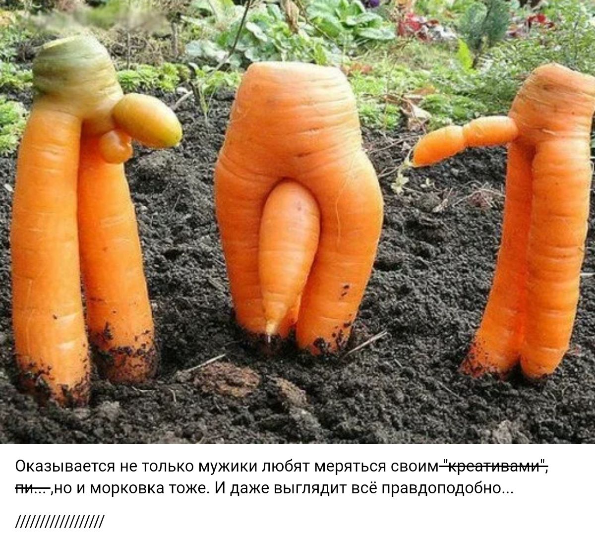 я и тп т а гипнм иатоже Ид мавытчдитъе пшедишлдыцны