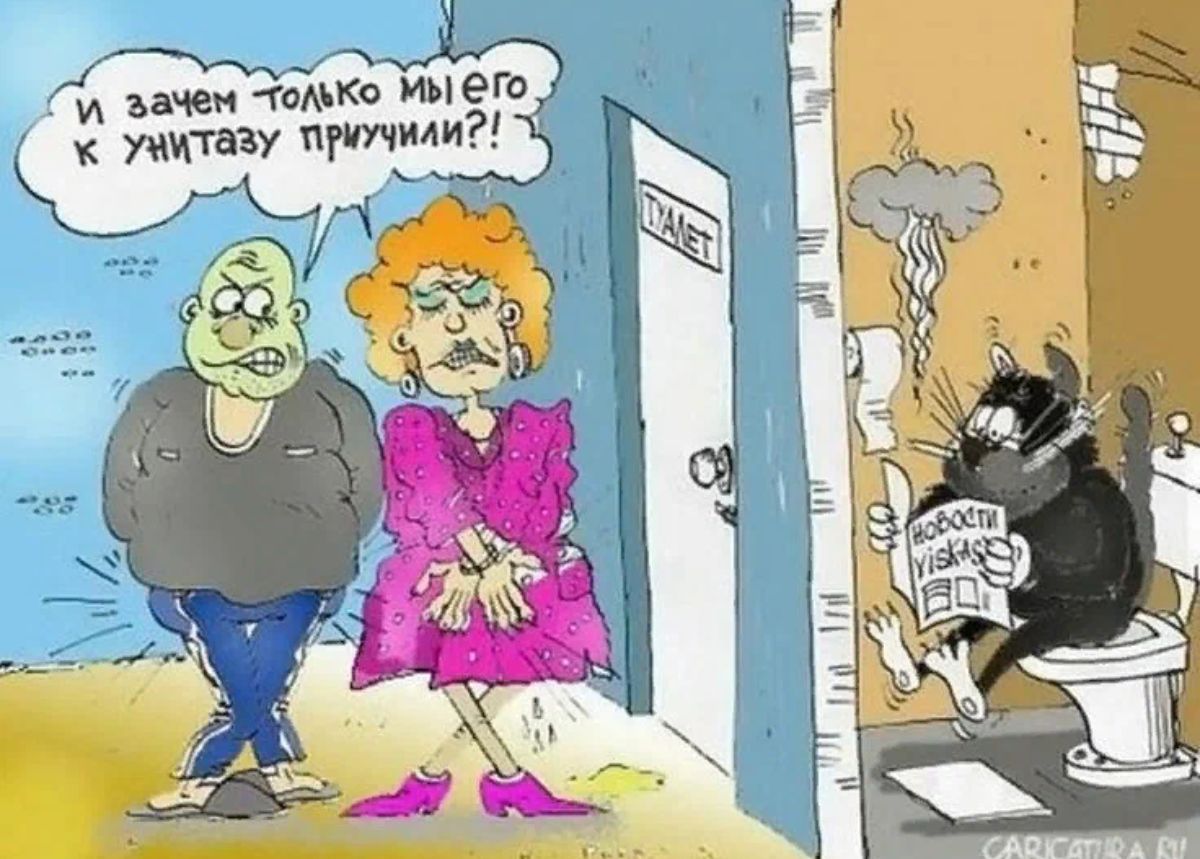 ты и зачем тян ко имет тьзу тили 4 Ч 9 за 33