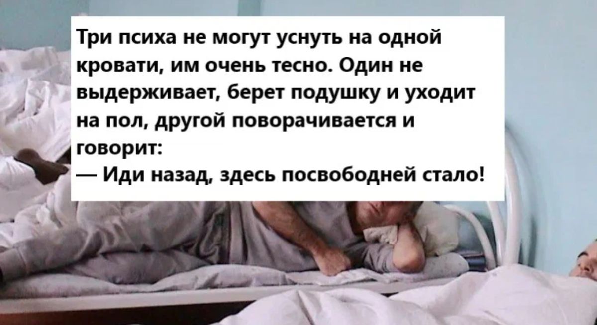 _ _ _Три псина и могут усиуп из одной кровли им очень жив Один не выдерживан Берет подушку и уходит на пол другой поворачивает и говори Иди назад здесь покнободпей пало