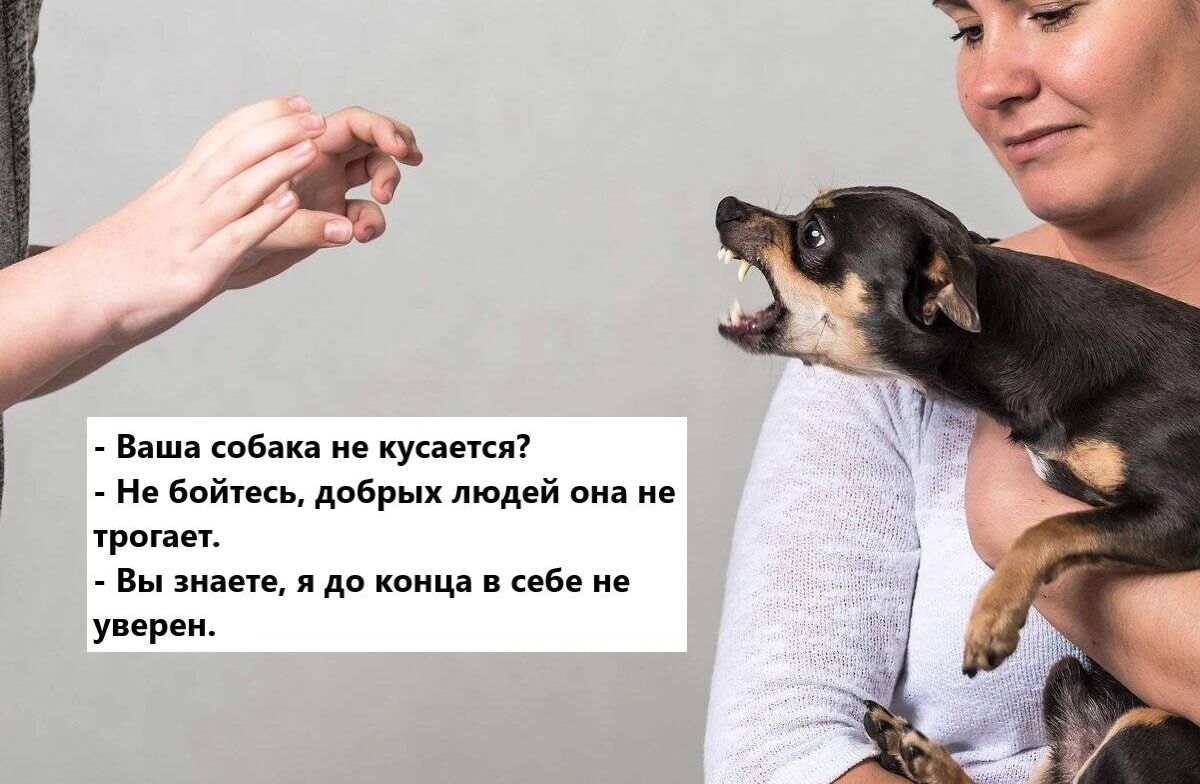 ваш в е кузнец Не Бойпекм добрых людей е р Вы я до кпица в упрек