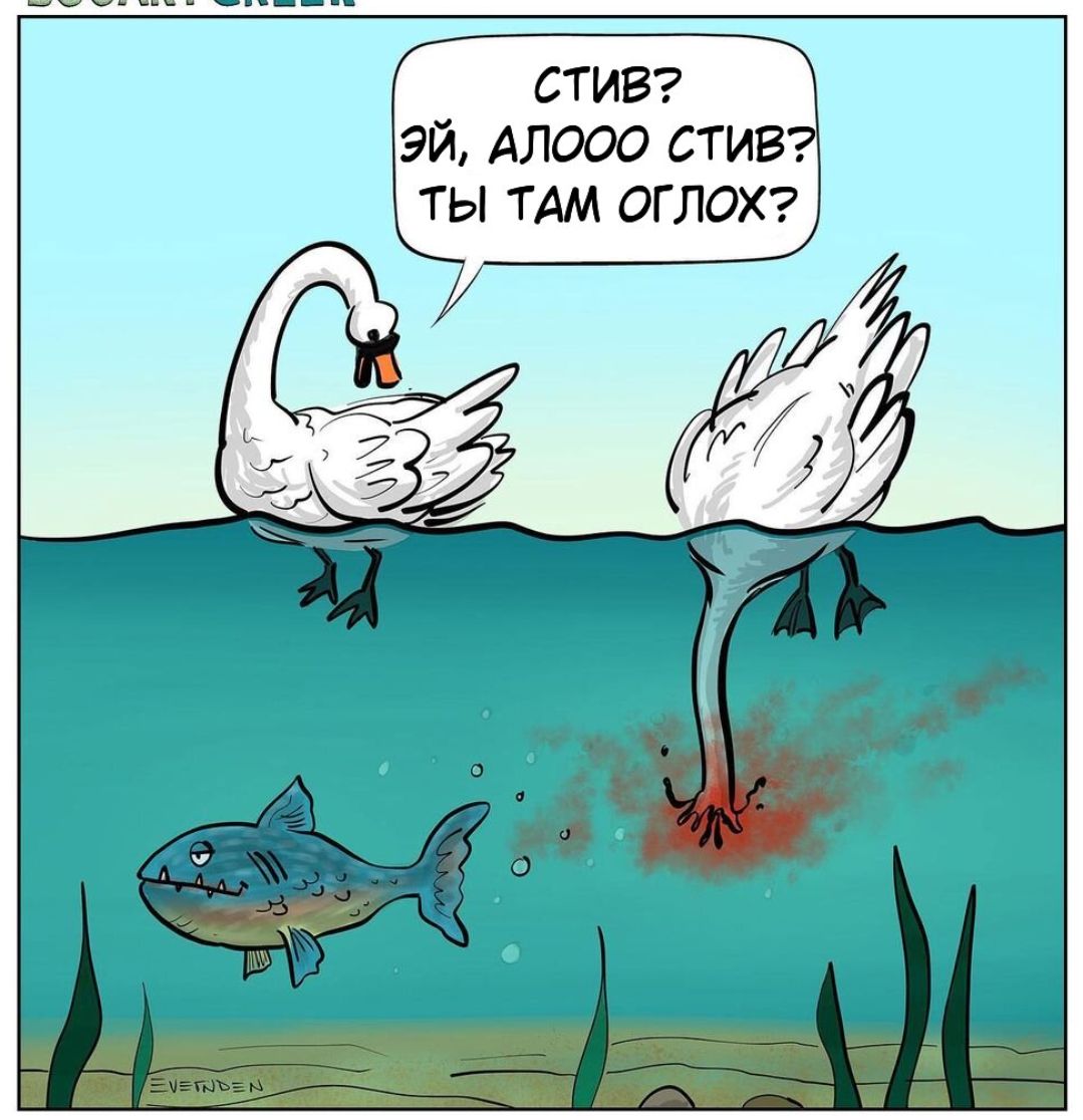 СТИВ ЭЙ АЛООО СТИ ТЫ ТАМ ОГ ЛОХ
