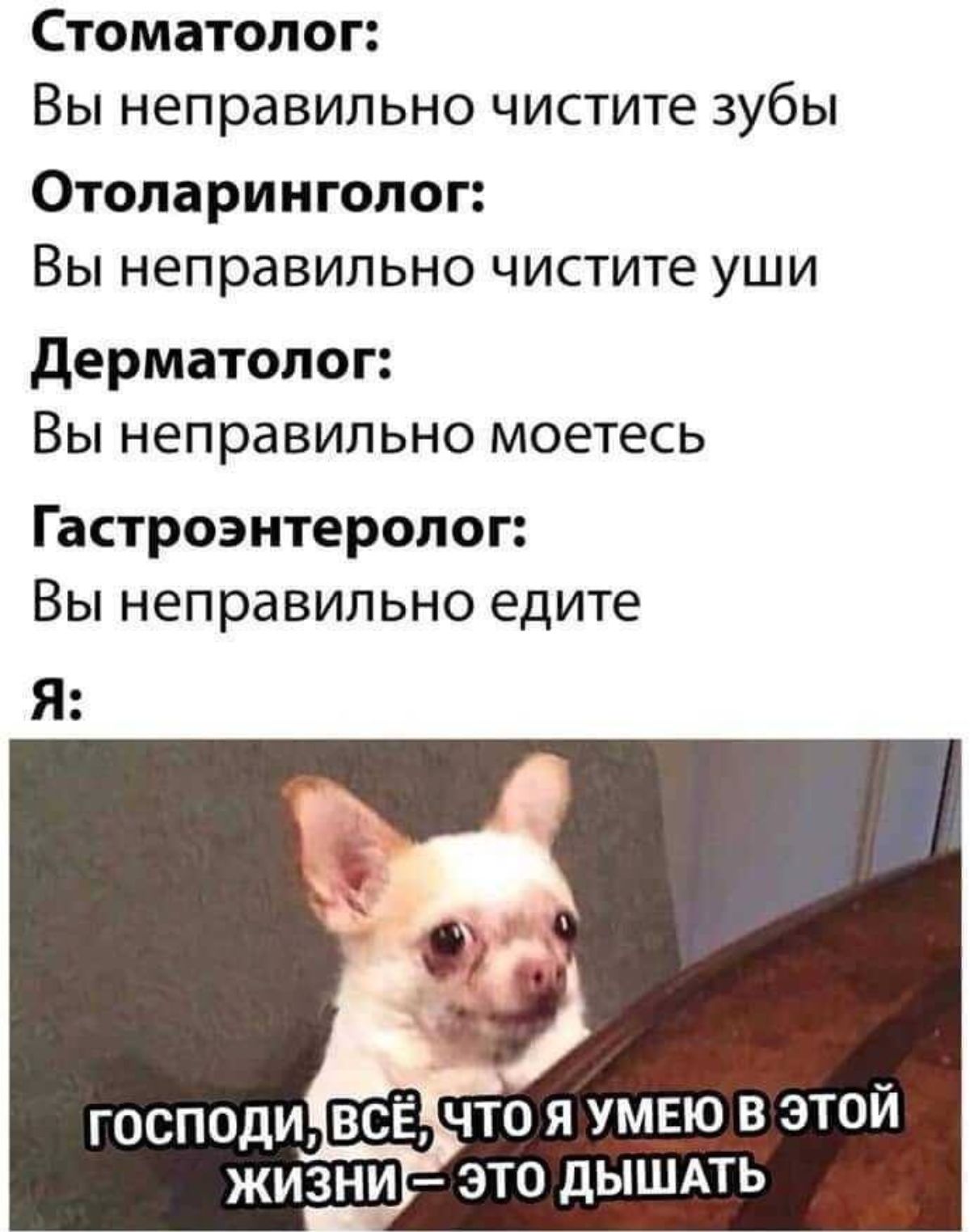 Стоматолог Вы неправильно чистите зубы Отоларинголог Вы неправильно чистите уши дерматолог Вы неправильно моетесь Гастроэнтеролог Вы неправильно едите ГОСПОДИ ЖИЗНИ ЭТО ДЫШАТЬ