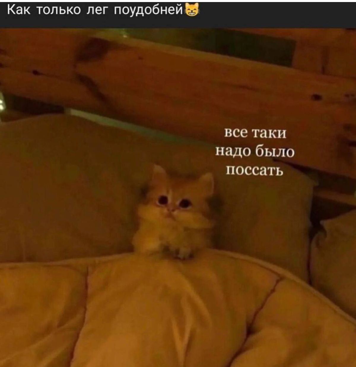 Как только лег поудобне Ш все ТЦ КИ надо было поссать