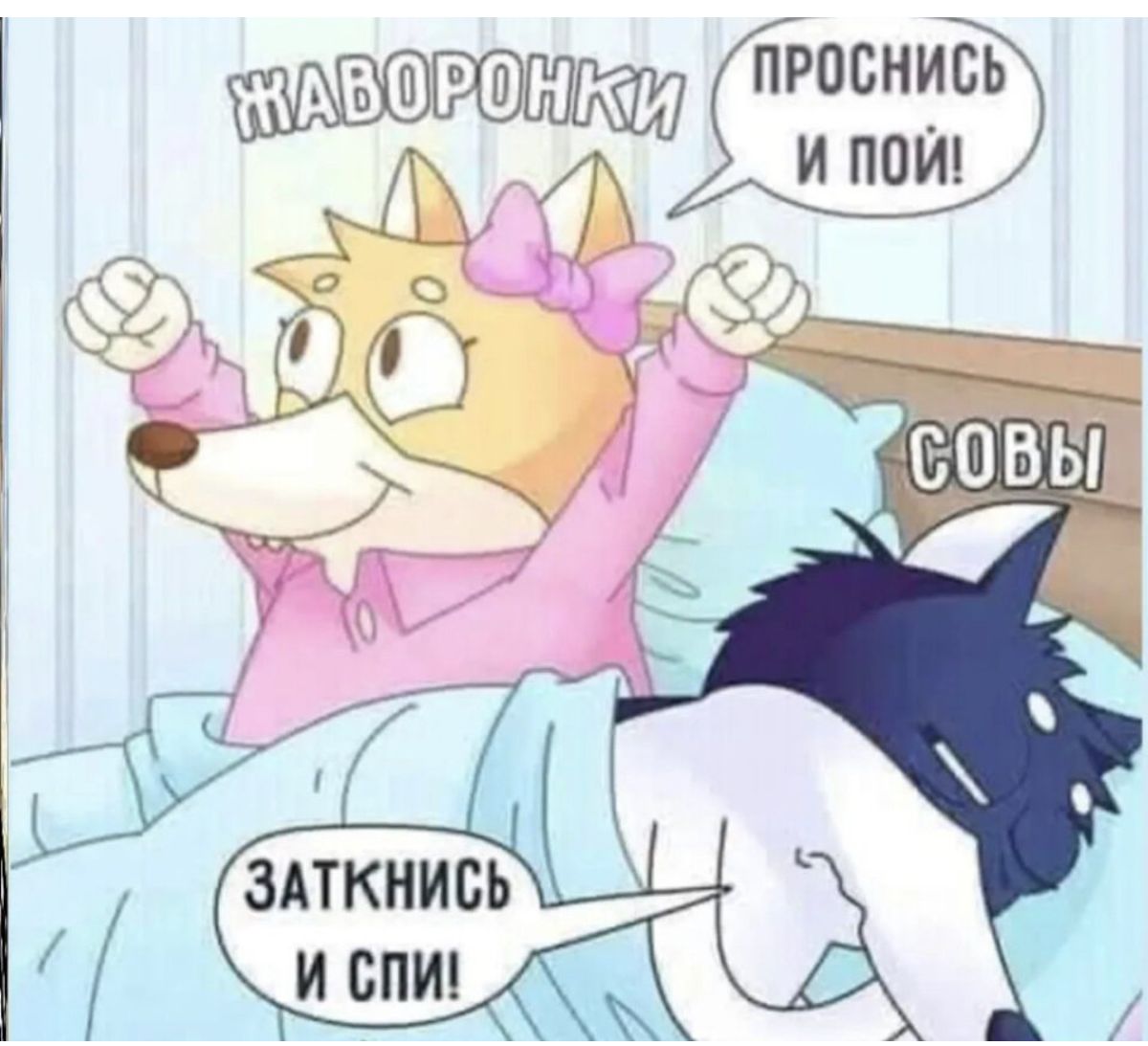 АВШРШНМИ Проснись и пои