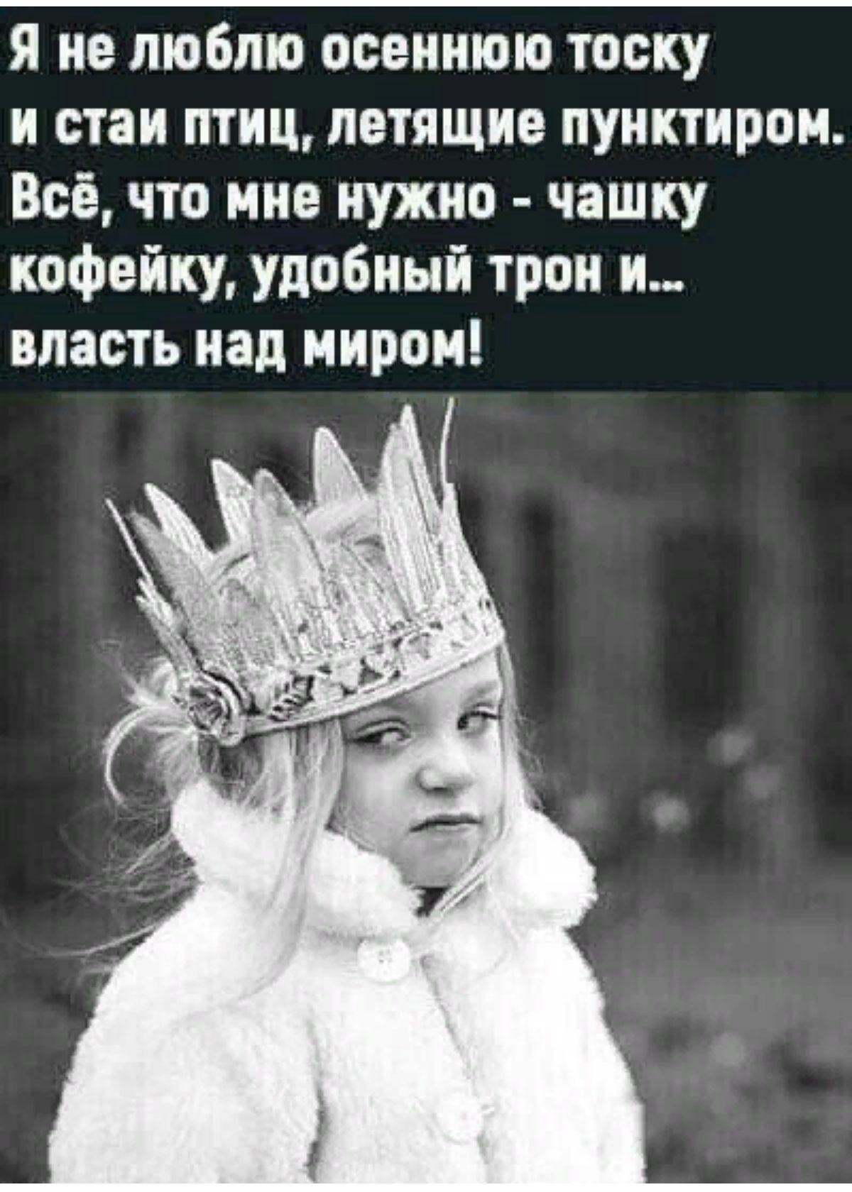Я не люблю осеннюю тоску и стаи птиц летящие пунктиром Всё что мне нужно чашку кофейку удобный трон и власть над миром