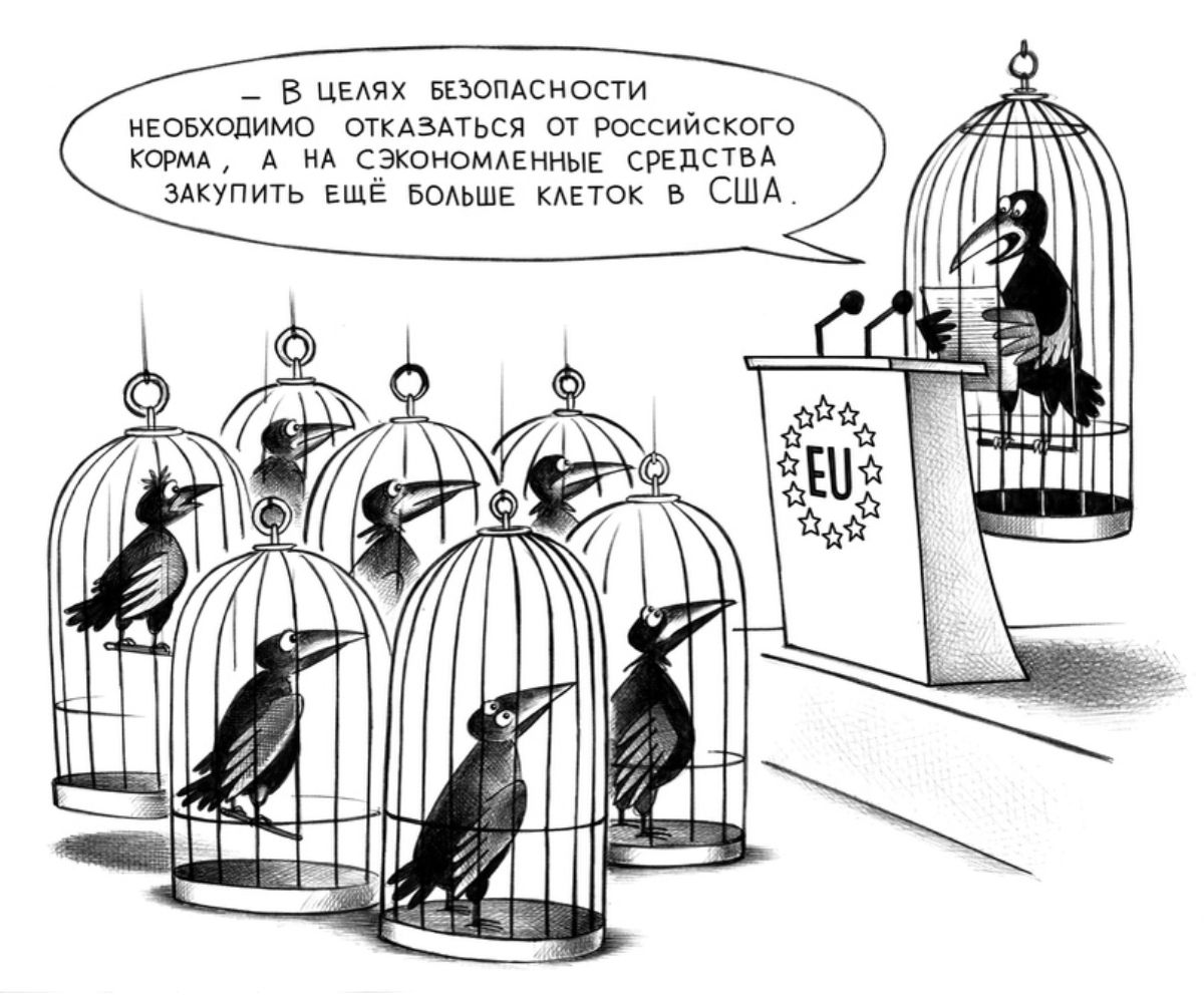 _ в на щоюпи Еоьхшимо сгмзпься и ваши корм м сзюнмдыщ СРЕлсТм здкупить шьшк в США