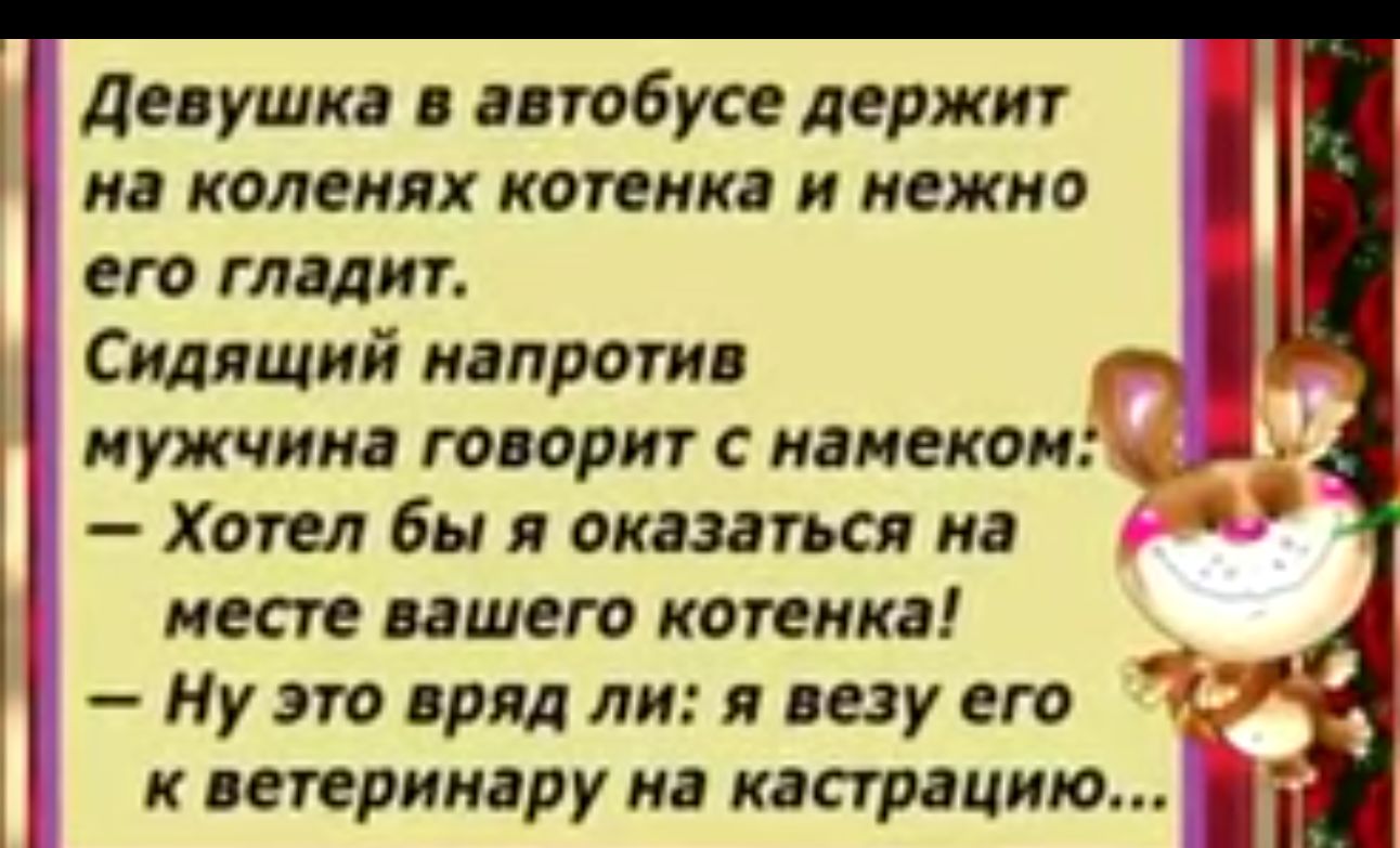 на коленях котик и нежно его гладит Сидящий иапрогив Девушка птобусе держит мужчина гопорит намеком Хотел бы я оказагься на месте вашего котенка Ну это вряд ли я лезу его к пприигру иа кгс грацию іі